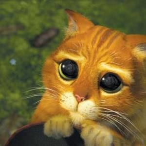 Meet your Posher, Xochitl